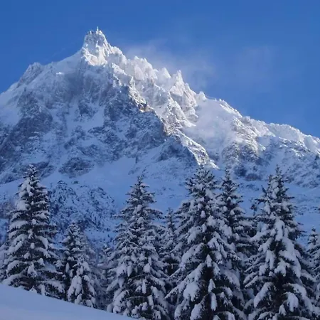 Spacious With Garden * Chamonix